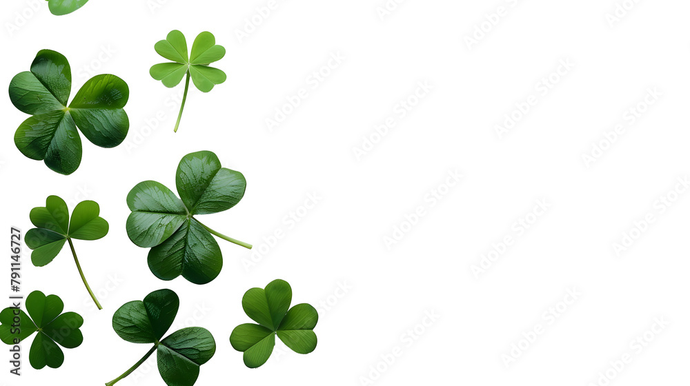 Four leaf clover on a white background. St. Patrick's Day celebration, luck and fortune concept, copy space