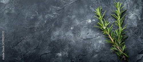 Rosemary herb placed on a stone table, photographed from above with space for text.