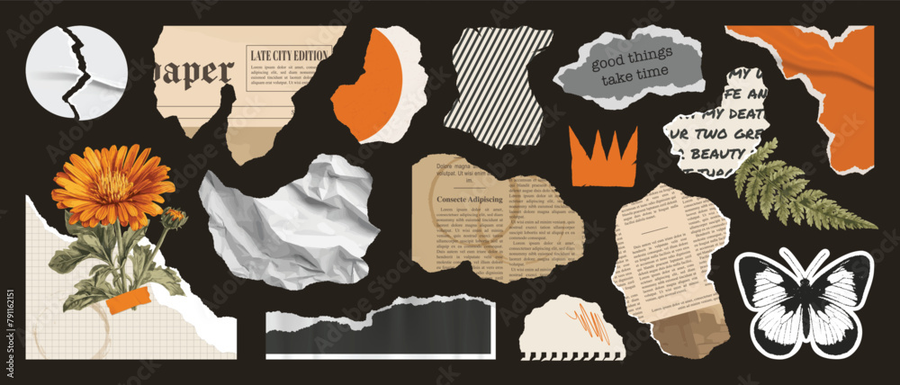 Set of paper cut elements, torn newspaper, collage plants, scrap notebook sheet, retro gazette, torn wrinkled sticker, stamp butterfly, quotes, crown. Trendy collage vector set, retro grunge stickers.
