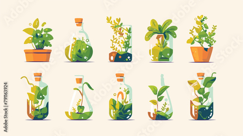 Collection of green plants growing in pots with min © iclute4