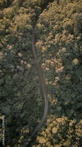 A dirt road through nature