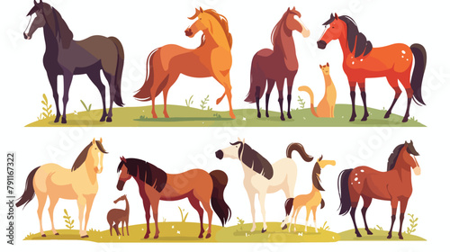 Collection of horses of various breeds isolated on