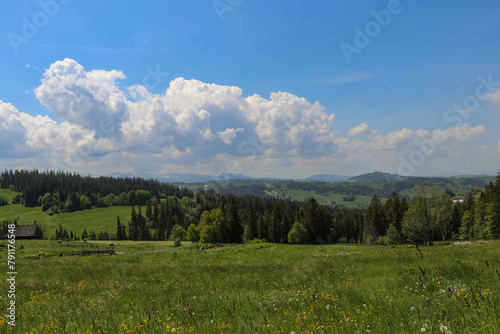 Fototapeta Naklejka Na Ścianę i Meble -  A beautiful panorama of vast Polish meadows against the background of mountains in the Lesser Poland Voivodeship.
