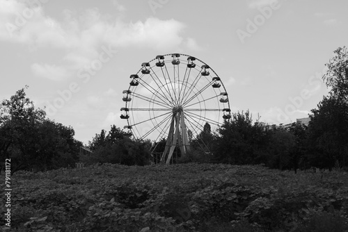 ferris wheel in the park black and white  © mAlinka