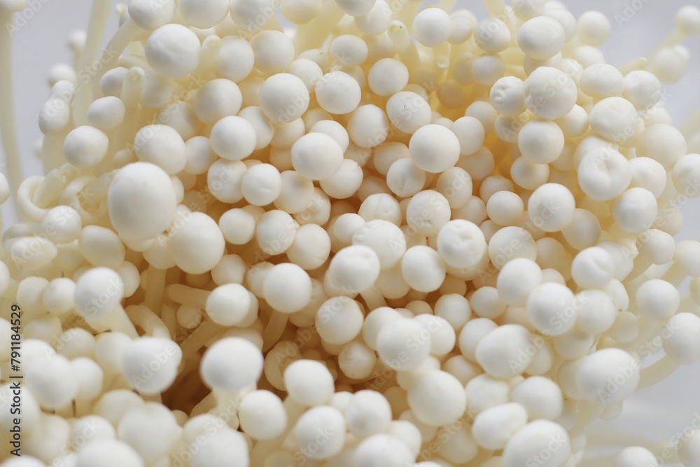Fresh enoki mushrooms, vegetable for health Fresh enoki mushrooms, vegetable for health