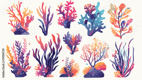 Collection of various corals and seaweed or algae i