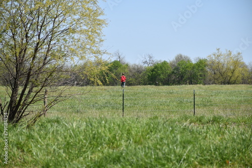 Boy in a Farm Field