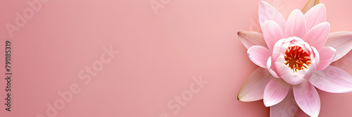 Lotus Flower web banner. Lotus flower isolated on pink background with space for text.