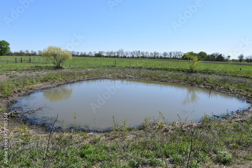 Pond with Low Water