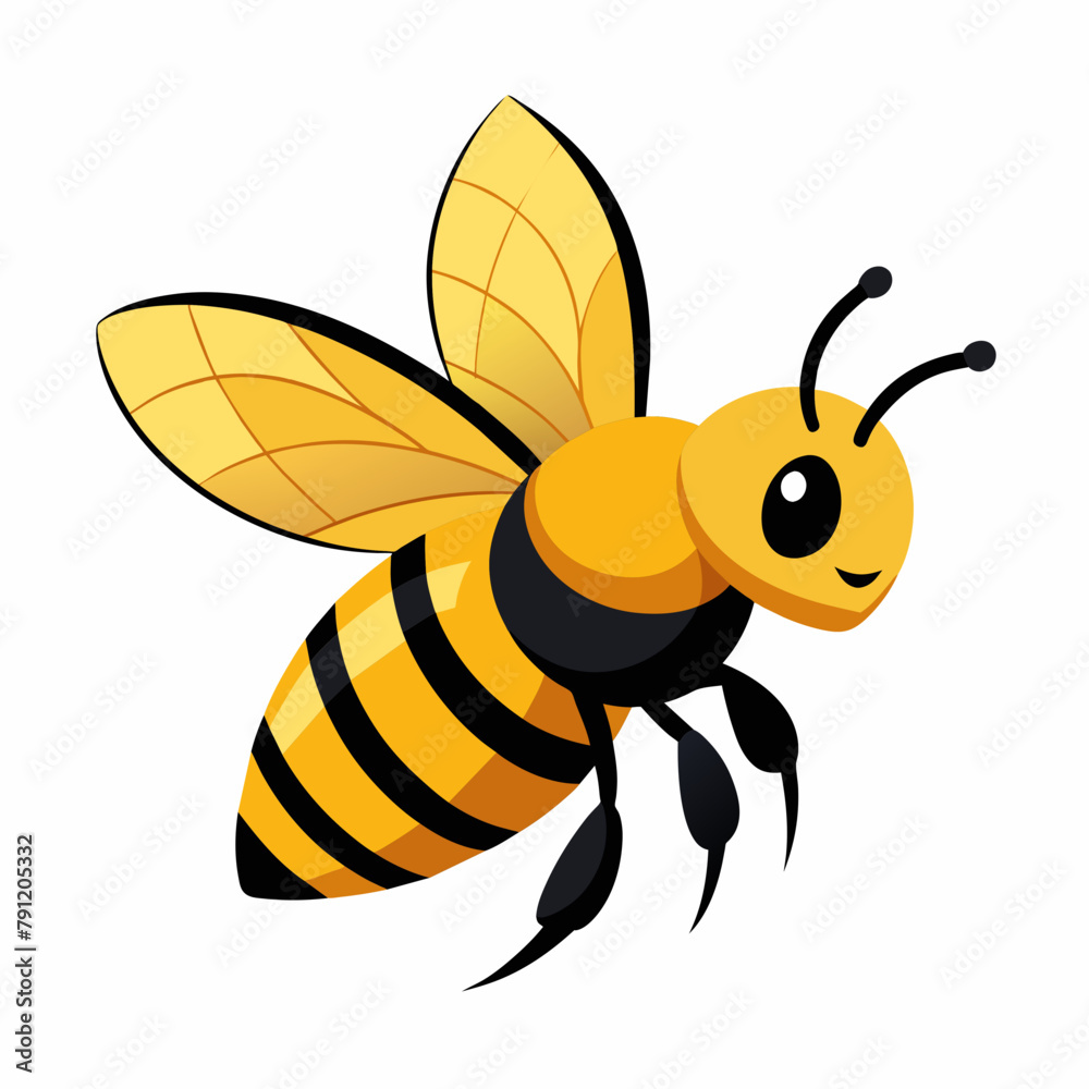 bee and honey Vector illustration bee and honey Vector illustration