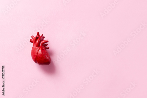Anatomical model of the human heart on pastel pink background. Selective focus, place for text photo