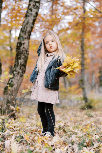 Little girl with a bouquet of yellow leaves stands in an autumn park and scratches her head