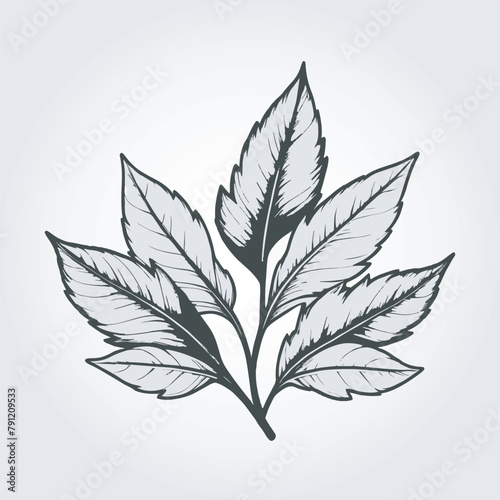 leaves line art logo icon  © Dwi