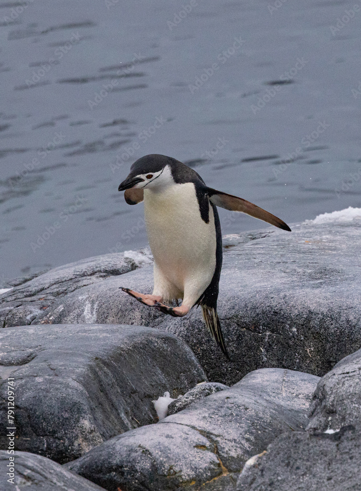 Obraz premium Damoy Point and Yalour Islands Antartica