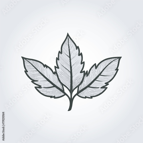 leaves line art logo icon 