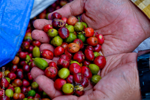 close-up view of fresh coffee beans