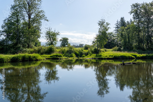 Summer nature view small pond green landscape with cloudy sky