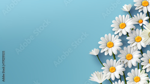 White daisy background banner border #791219335