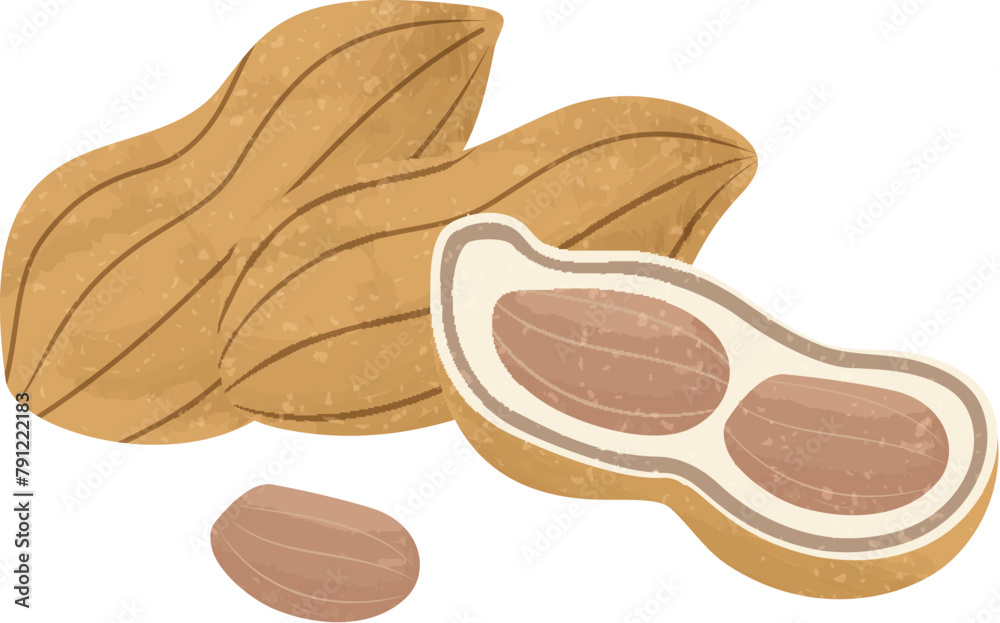 Raw peanut pod and kernel Raw peanut pod and kernel