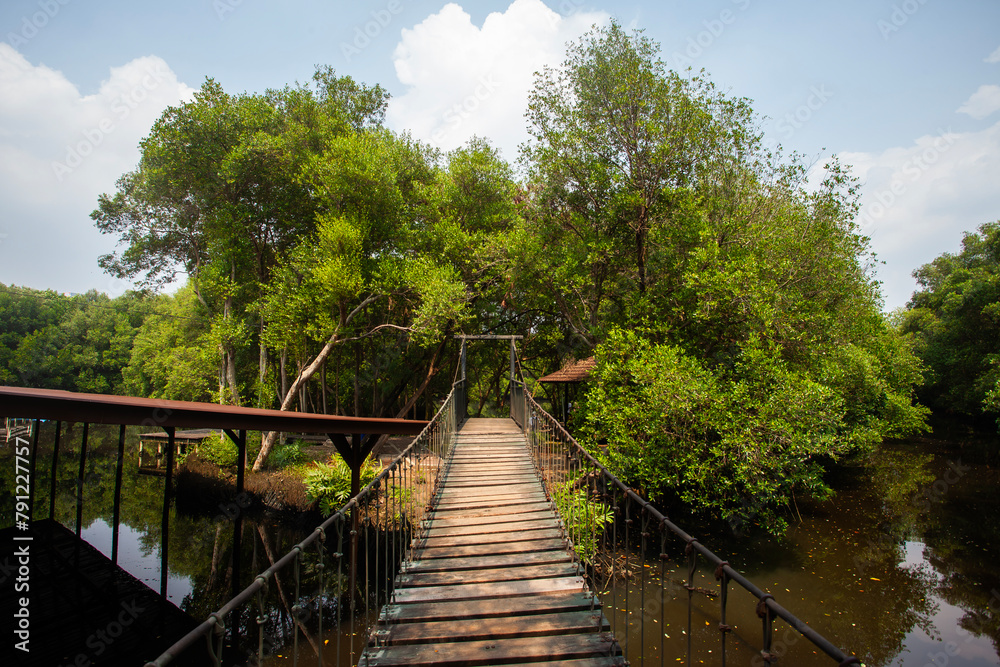 The atmosphere is cool and calming in the Mangrove Nature Tourism Park Area in Muara Angke, Pantai Indah Kapuk, Jakarta. One of the green areas in Jakarta which is also a tourist destination.