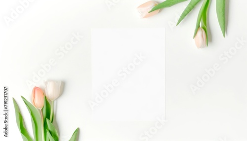 Elegant pink tulips bordering a blank white card on a white background, perfect for copy space.