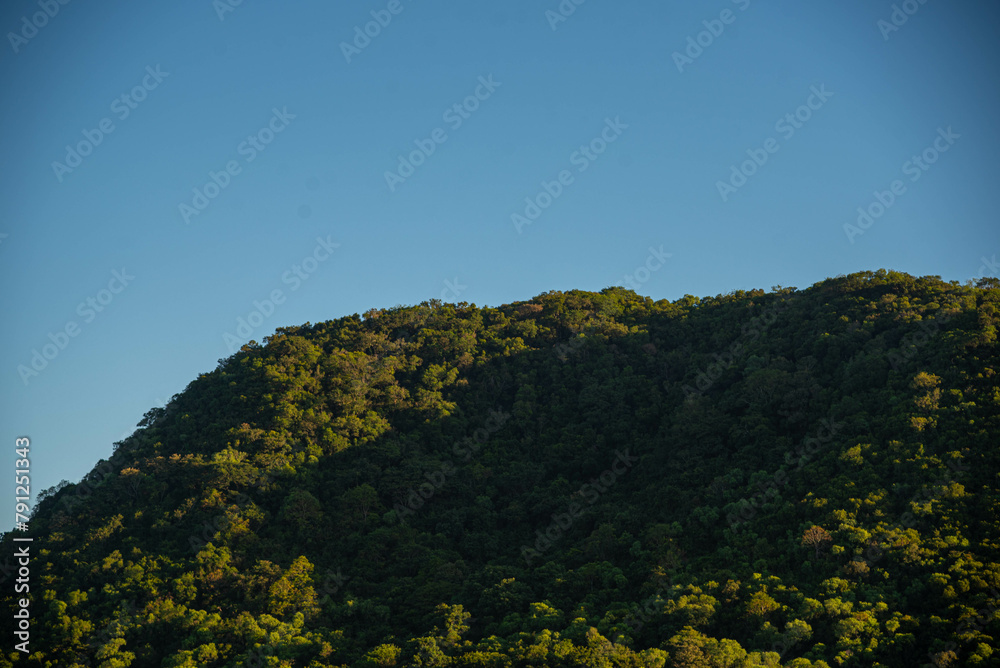 Atlantic forest landscape in Brazil