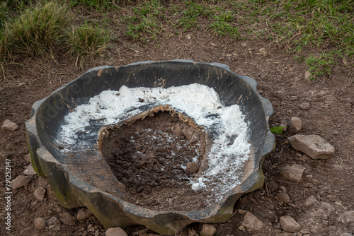 Mineral salt trough for cattle feeding