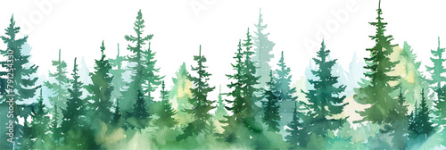 watercolor green pine forest landscape banner