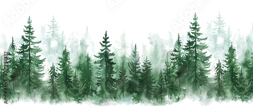 watercolor green pine forest landscape banner © wanna