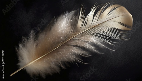 feather on the background, A sleek and contemporary marble and feather design on a large panel,