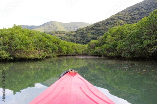 Kayaking the calm water on the mangrove forest river in Amami Oshima Island
