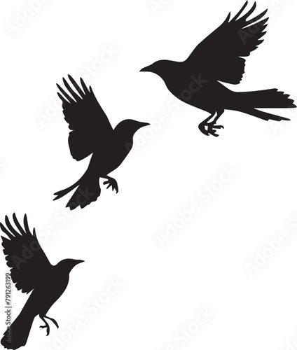 silhouette of a birds flying
