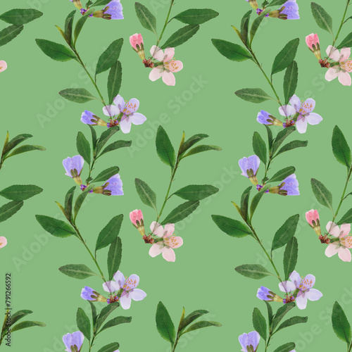 Almond steppe. Decorative art-deco design element, floral ornament. Seamless pattern for shawl, hijab, neck scarf. Kerchief design or tablecloth print, scarf, towel. For textile, cotton fabric.