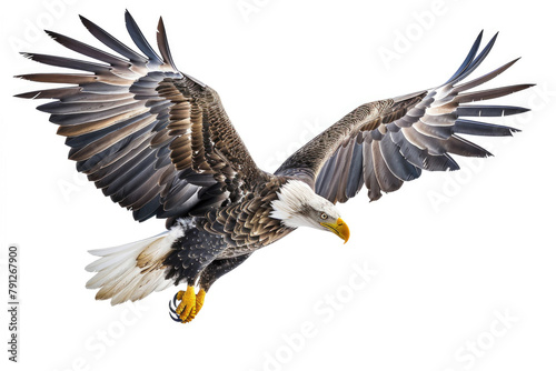 An eagle soaring with wings spread wide © Veniamin Kraskov