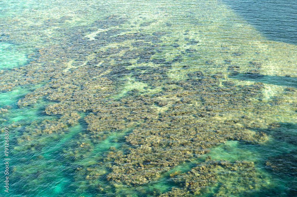 Aerial view of coral reef near Honduras in the Caribbean in crystal clear waters