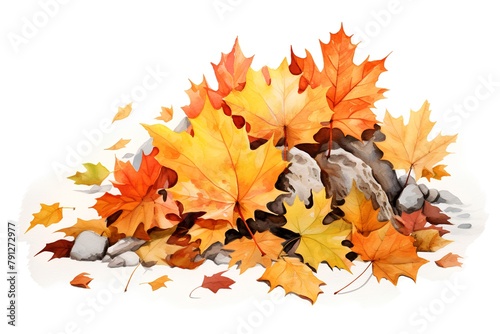 Autumn maple leaves isolated on white background. Watercolor illustration.