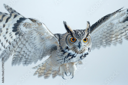 An owl diving towards its prey