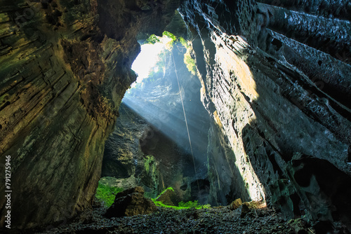 Gomantong cave is situated in the district of Kinabatangan. It is the largest cave and the main producer of edible bird's nest in Sabah.