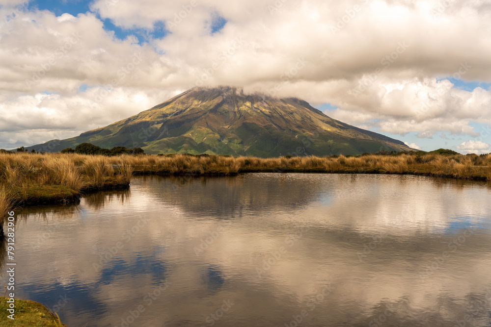 Lush native bush on the slopes of Mount Taranaki hiking up to the  alpine Pouakai Tarns