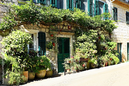 Fototapeta Naklejka Na Ścianę i Meble -  The entrance to an ancient residential building is decorated with lush, abundant vegetation.