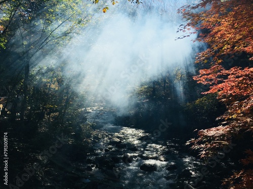 朝靄で幻想的な紅葉の小川が流れるキャンプ場