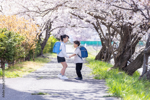 小学生と桜の木　Elementary school students and cherry tree
