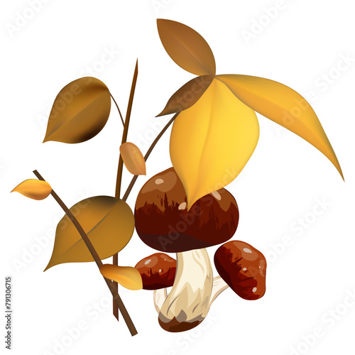 Edible forest mushrooms with a branch of autumn leaves. Cartoon poisonous and edible mushrooms. Organic porcini. Isolated icon. Vector illustration.