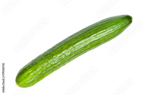 One long greenhouse cucumber isolated on white background. Fresh cucumber close-up.