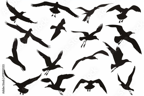 various flying seagull silhouette collection vector icon  white background  black colour icon