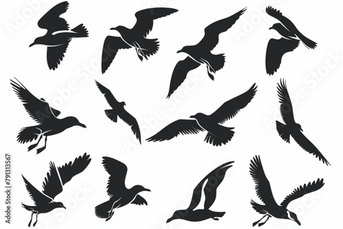 various flying seagull silhouette collection vector icon, white background, black colour icon