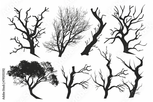 various tree branch silhouette collection vector icon, white background, black colour icon
