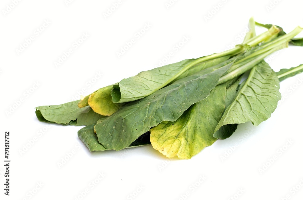 Organic Radish Leaves Isolated on White Background with Copy Space Organic Radish Leaves Isolated on White Background with Copy Space