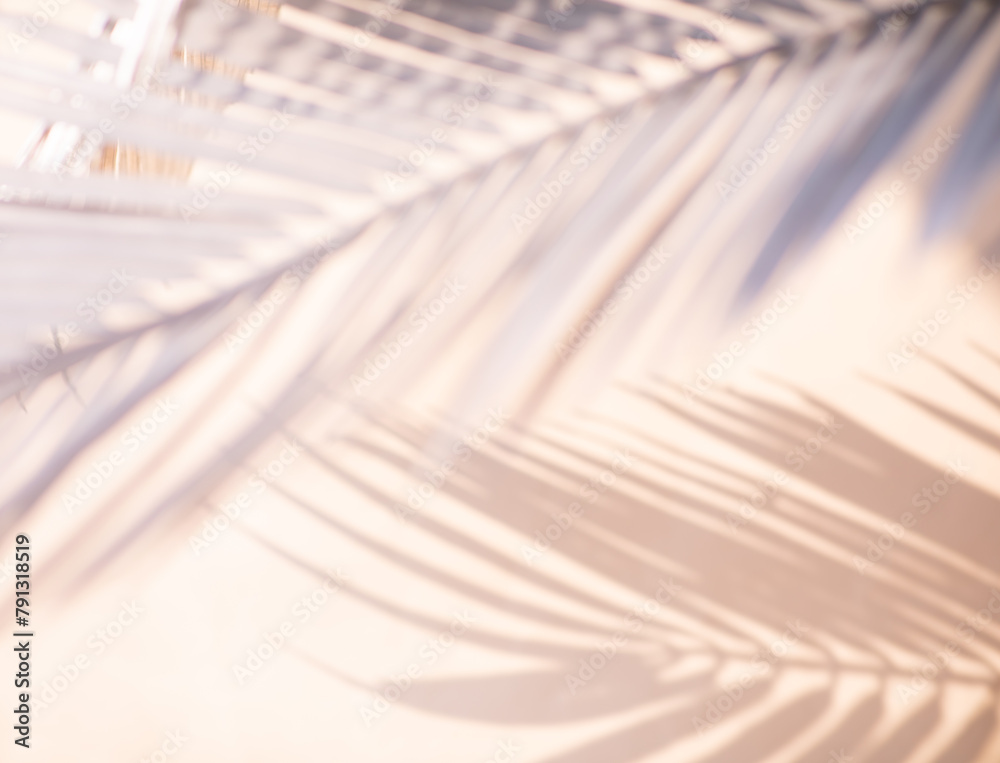Abstract blur of tropical leaves pattern background.luxury palm leaf design with shadow.nature concepts ideas Abstract blur of tropical leaves pattern background.luxury palm leaf design with shadow.nature concepts ideas