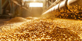 Wheat grains are machine dried and given an antibacterial treatment after being freshly gathered, Large piles of grain are built under the roof in the granary Canopy for storage of and grain

